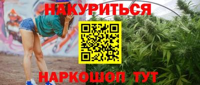 тгк Будённовск
