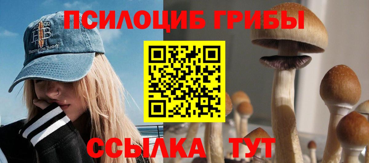 Новороссийск  Псилоцибиновые грибы Psilocybine cubensis  Вход с VPN  Галлюциногенные грибы Psilocybe 